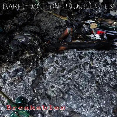 Posłuchaj utworu Breakables - Single wykonywanego przez Barefoot on Bumblebees.