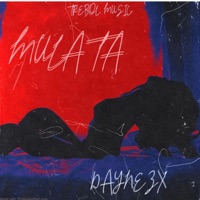 MULATA (feat. Arfe FN) - Single - Daynezx