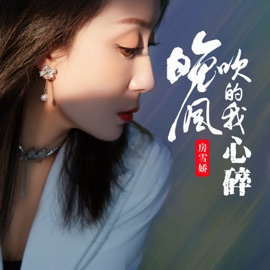 晚风吹的我心碎 (抽烟抽到我流泪dj阿本版伴奏) 房雪娇
