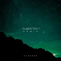 Заново (VRAYD Remix) - Single - Strange