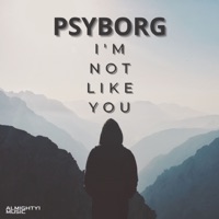 I'm Not Like You - Single - Psyborg