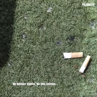 No hemos vuelto, ya nos fuimos... - Single