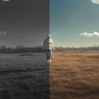 Mailand - Single - va1e