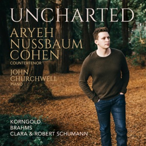 Myrthen, Op. 25: No. 3, Der Nussbaum
