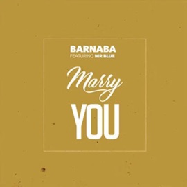 Marry You (feat. Mr.blue) Barnaba