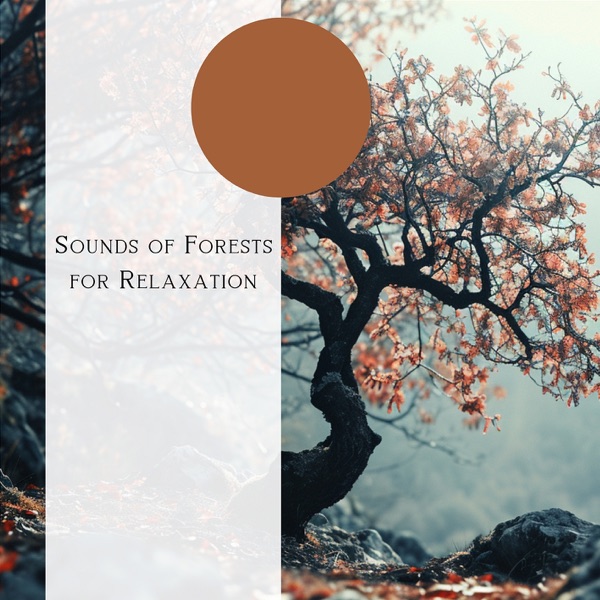 Sounds of Forests for Relaxation