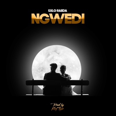 Ngwedi (feat. King Tipps) - Single