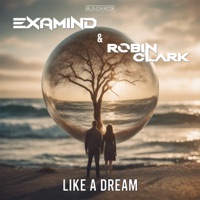 Like a Dream - Single - Examind & Robin Clark
