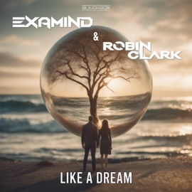 Like a Dream Examind & Robin Clark