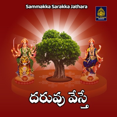 Daruvu veste - Single