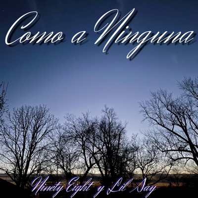 Como a Ninguna (feat. Lil Say El Cachorro) - Single