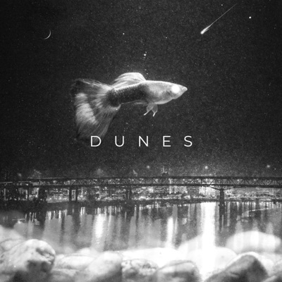 Dunes (feat. BMJ) - Single