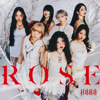 HANA - ROSE アートワーク