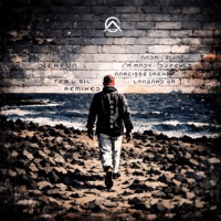 Ter v Sil Remixed - Diereva