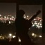נחלאות (feat. Michael Greilsammer) - Single