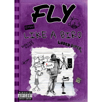 Fly Like A Bird