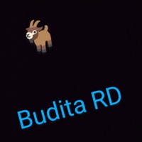 No me van a llegar X yimbel - Single - Budita RD