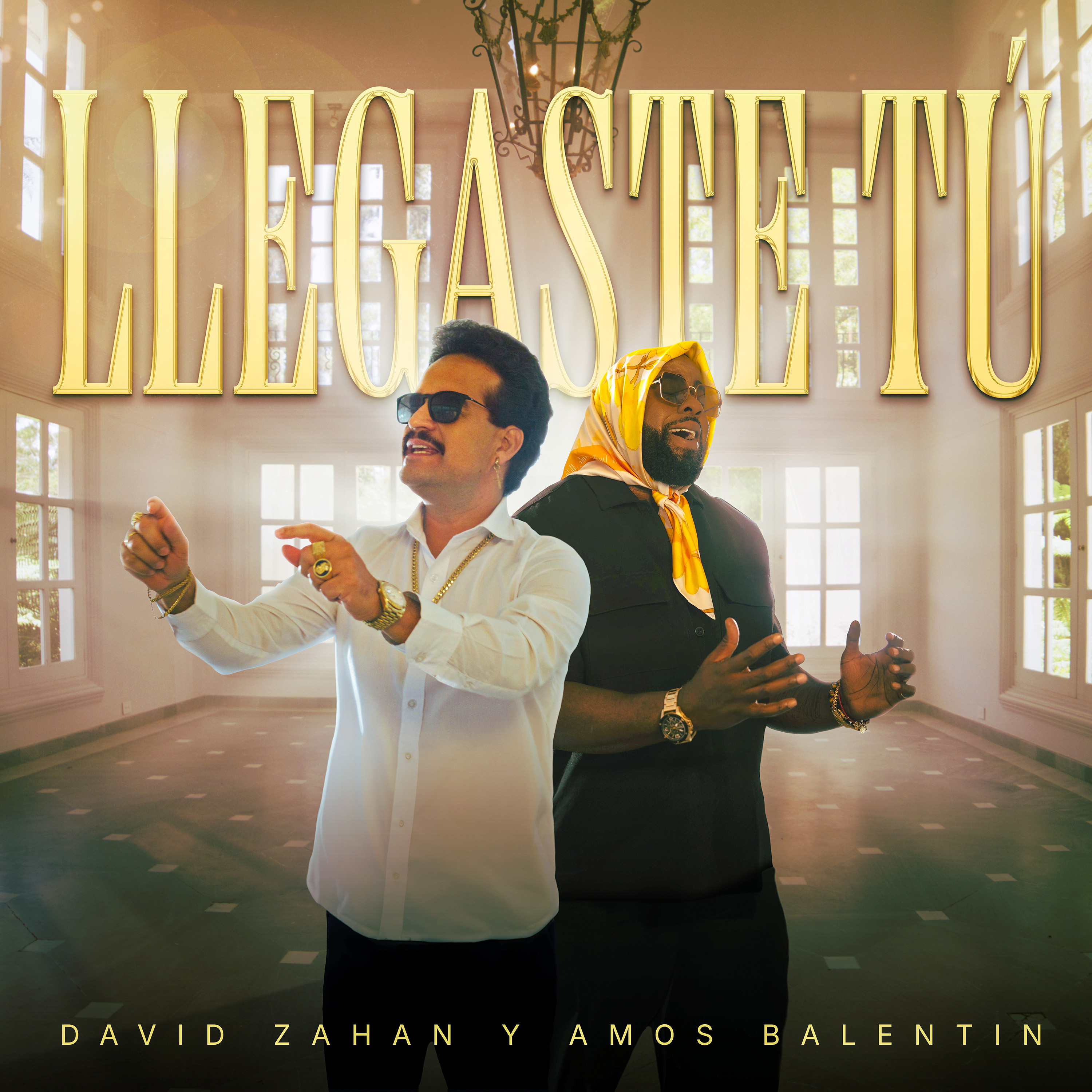Llegaste Tu - David Zahan & Amos Balentin