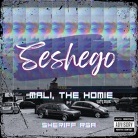 Seshego (feat. Sheriff RSA) - Single - Mali the Homie