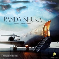 Panda Shuka (feat. Teslah) - Single - P-Tah