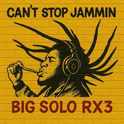 Can't Stop Jammin - Single