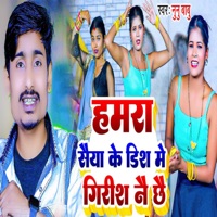 Hamra Saiya Ke Dish Me Grish Nai Chhe - Single - Nunu Babu