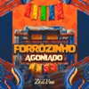 Forrózinho Agoniado - EP