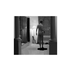 Distressor - Whirr Cover Art