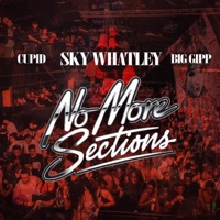 No More Sections (feat. Cupid & Big Gipp) - Single - Sky Whatley