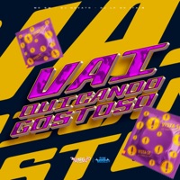 Vai Quicando Gostoso - Single - MC GW, DJ NOVATO & DJ LF do Itaim