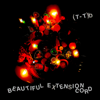 Beautiful Extension Cord - (T-T)b