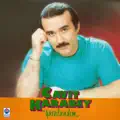 Bir Mektup Yazdım Sana