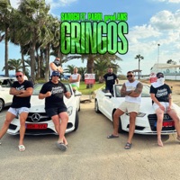 Gringos (feat. Parol prod.ANS) - Single - Sadoch
