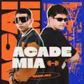 Academia