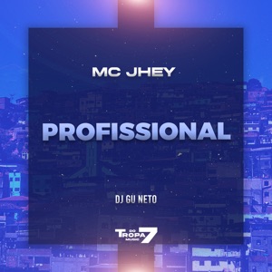 Profissional