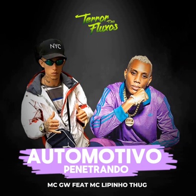 Automotivo Penetrando (feat. mc lipinho thug) - Single