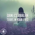 Tears In Your Eyes