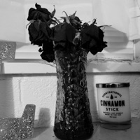 Trace - Single - Empathik