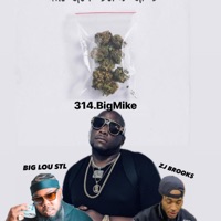 WHO GOT SOME GAS (feat. BIG LOU STL & ZJ BROOK$) - Single - 314.BigMike