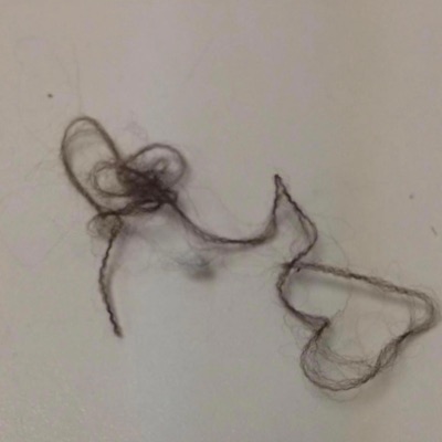 Step Up or Step Down (feat. King Merlino) [Radio Edit] - Single