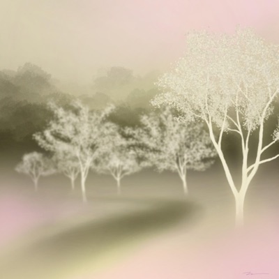 Where the Clovers Grow - Single