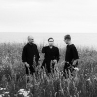 All õhtutaeva - EP - Liisi Koikson, Marti Tärn & Sander Mölder