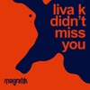 DIDN'T MISS YOU