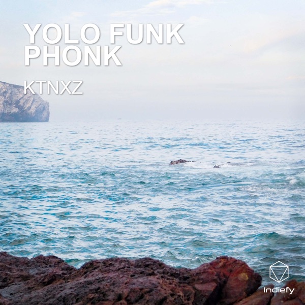 Yolo Funk Phonk - Single