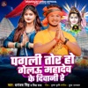 Pagli Tor Ho Gelau Mahadev Ke Diwani Re - Single