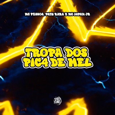 Tropa dos Pic4 de Mel (feat. Mc japah Junior) - Single