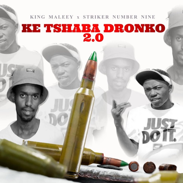 Ke Tshaba dronko 2.0 (feat. King Maleey) - Single - Album by