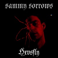 SleepLess (Hxvsfly Remix) - Single - Hxvsfly & sammy sorrows