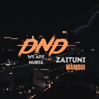 We are Nubia - Dnd (feat. Zaituni Wambui)