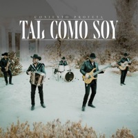Conjunto Profeta - Tal Como Soy